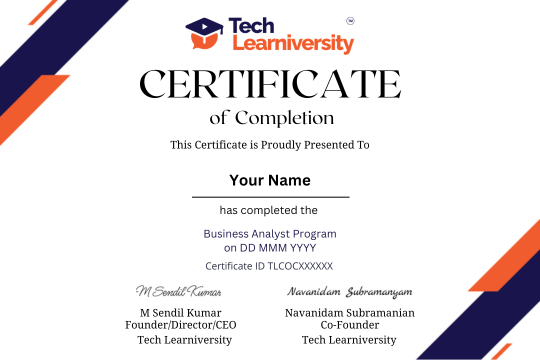 Business Analyst Program