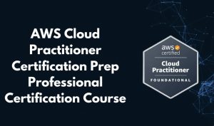 AWS Cloud Practitioner Certification Prep Professional Certification Course