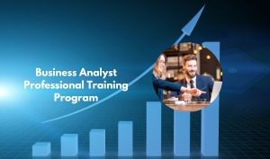 Business Analyst Professional Technical Program