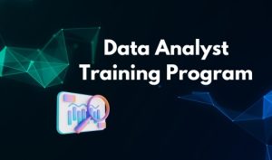 Data Analyst Training Program