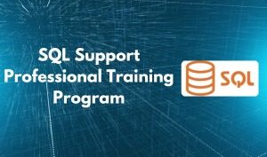 SQL Support Professional Training Program